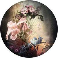 Komar Fototapete Flemish Flowers D: ca. 125 cm Flemish Flowers - (125,00cm) - Komar