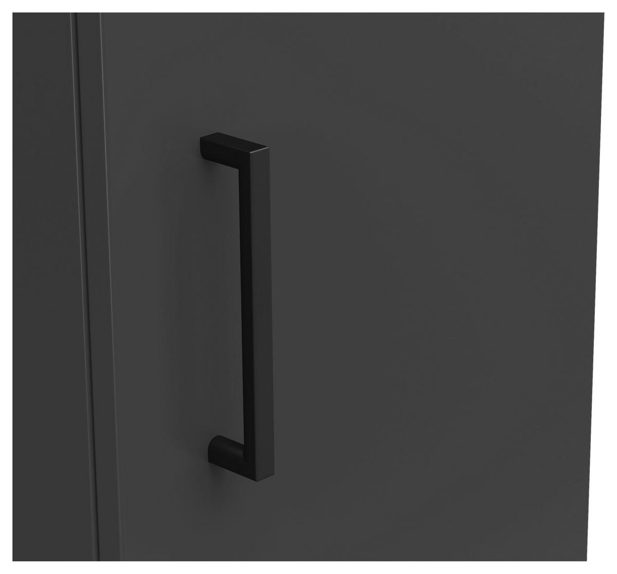 Schrank Multi-Stauraum Typ 8 anthrazit B/H/T: ca. 30x195x40 cm Multi-Stauraum Typ 8 - anthrazit (30,00/195,00/40,00cm)