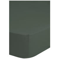 Baumwoll Spannbetttuch Satin Spannbetttuch-Satin 100x200cm - grün (100,00/200,00cm) - HIP