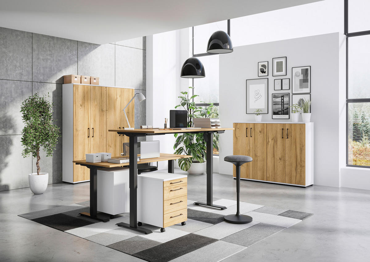 Rollcontainer 4251-559 Eiche Grand-Son Nachbildung weiß B/H/T: ca. 42x61x49 cm 4251-559 - Eiche/weiß (42,00/61,00/49,00cm) - Germania
