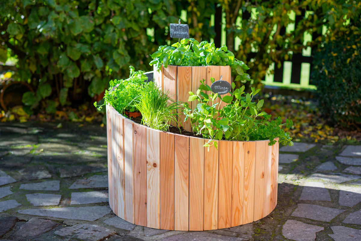 Westmann Hochbeet Kräuterschnecke natur B/T: ca. 55x77 cm Kräuterschnecke - natur (55,00/77,00cm) - Westmann