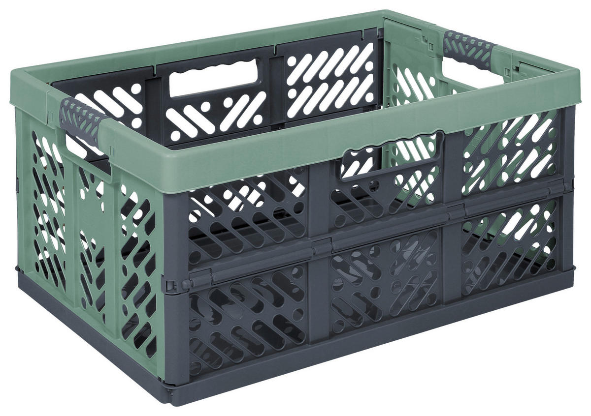 keeeper Klappbox grün B/H/L: ca. 37x28x45 cm Profi-Klappbox_Ben 45l - grün (45,00/37,00/28,00cm) - keeeper