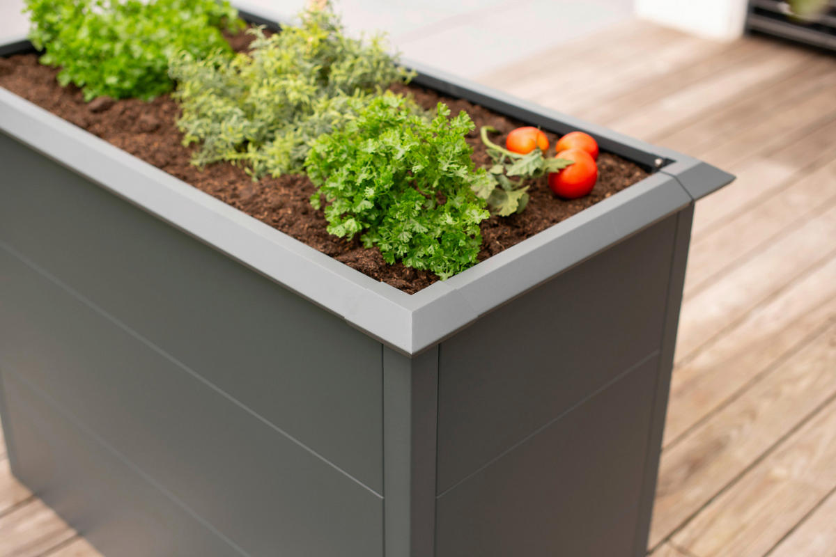 Westmann Hochbeet Primus M anthrazit Metall B/H/T: ca. 100x77x50 cm Primus M - anthrazit (100,00/77,00/50,00cm) - Westmann
