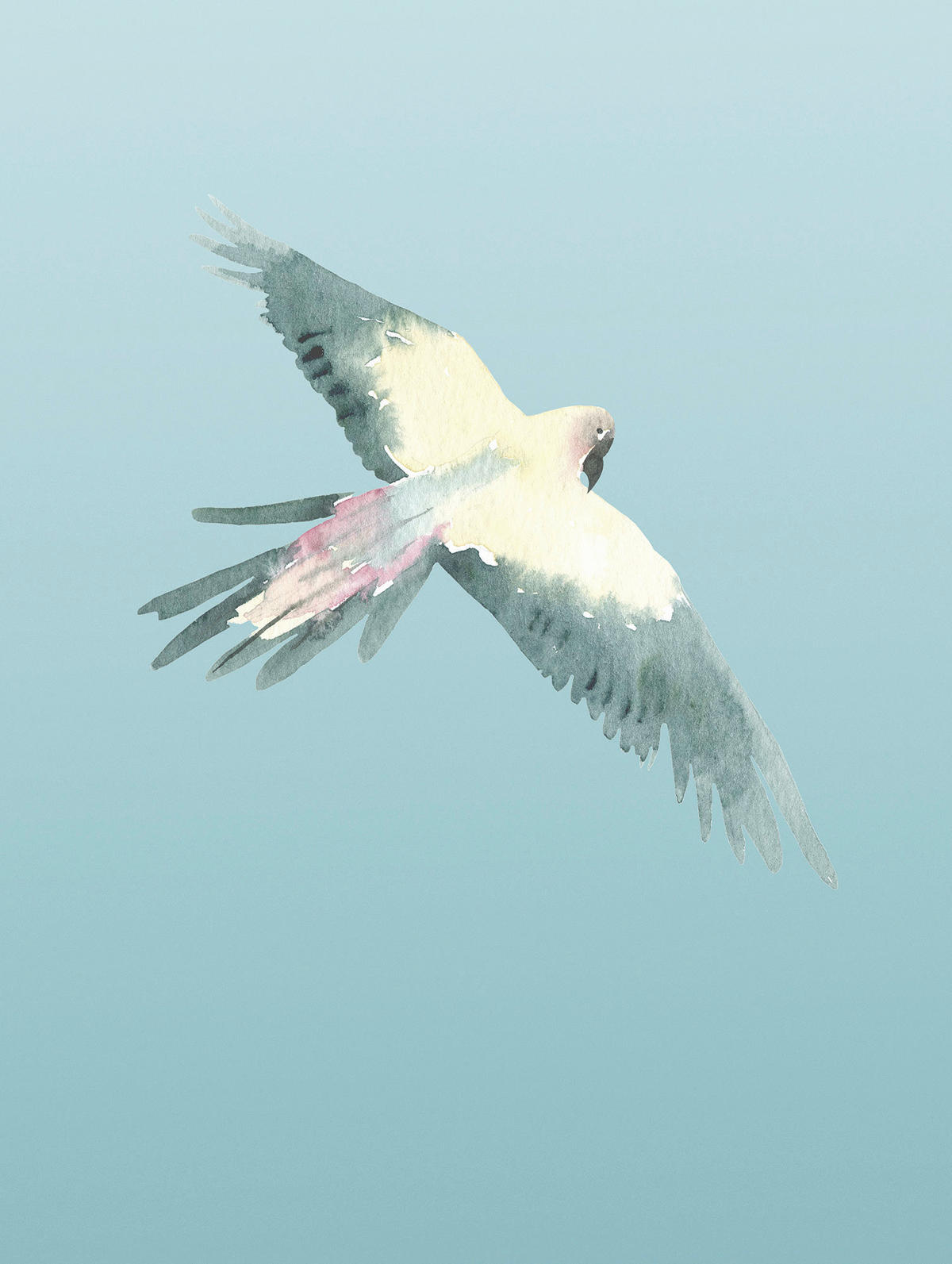 Komar Poster Ciel Ciel - Komar