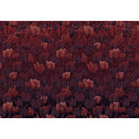 Komar Fototapete Tulipe B/L: ca. 400x280 cm Tulipe - (400,00/280,00cm) - Komar