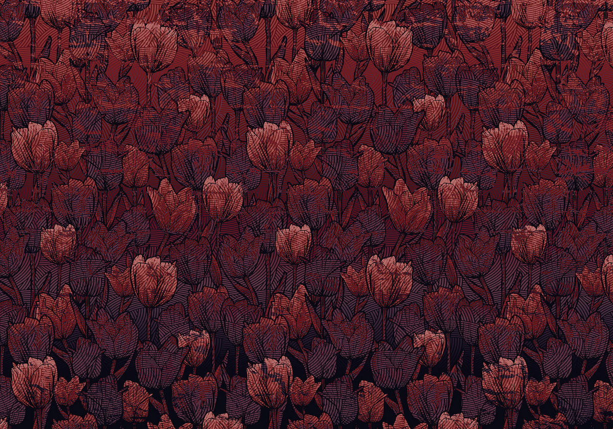 Komar Fototapete Tulipe B/L: ca. 400x280 cm Tulipe - (400,00/280,00cm) - Komar