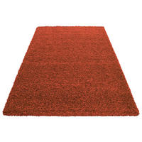 Ayyildiz Teppich LIFE terra B/L: ca. 300x400 cm LIFE - terra (300,00/400,00cm) - Ayyildiz
