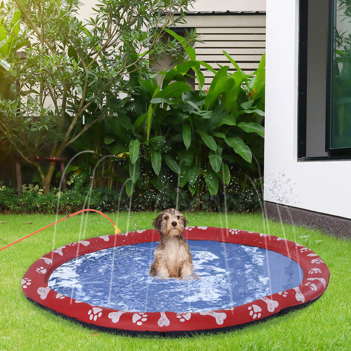 PawHut Hunde-Planschbecken rot Kunststoff B/H/L: ca. 170x1x170 cm Hunde-Planschbecken - rot (170,00/170,00/1,00cm) - PawHut