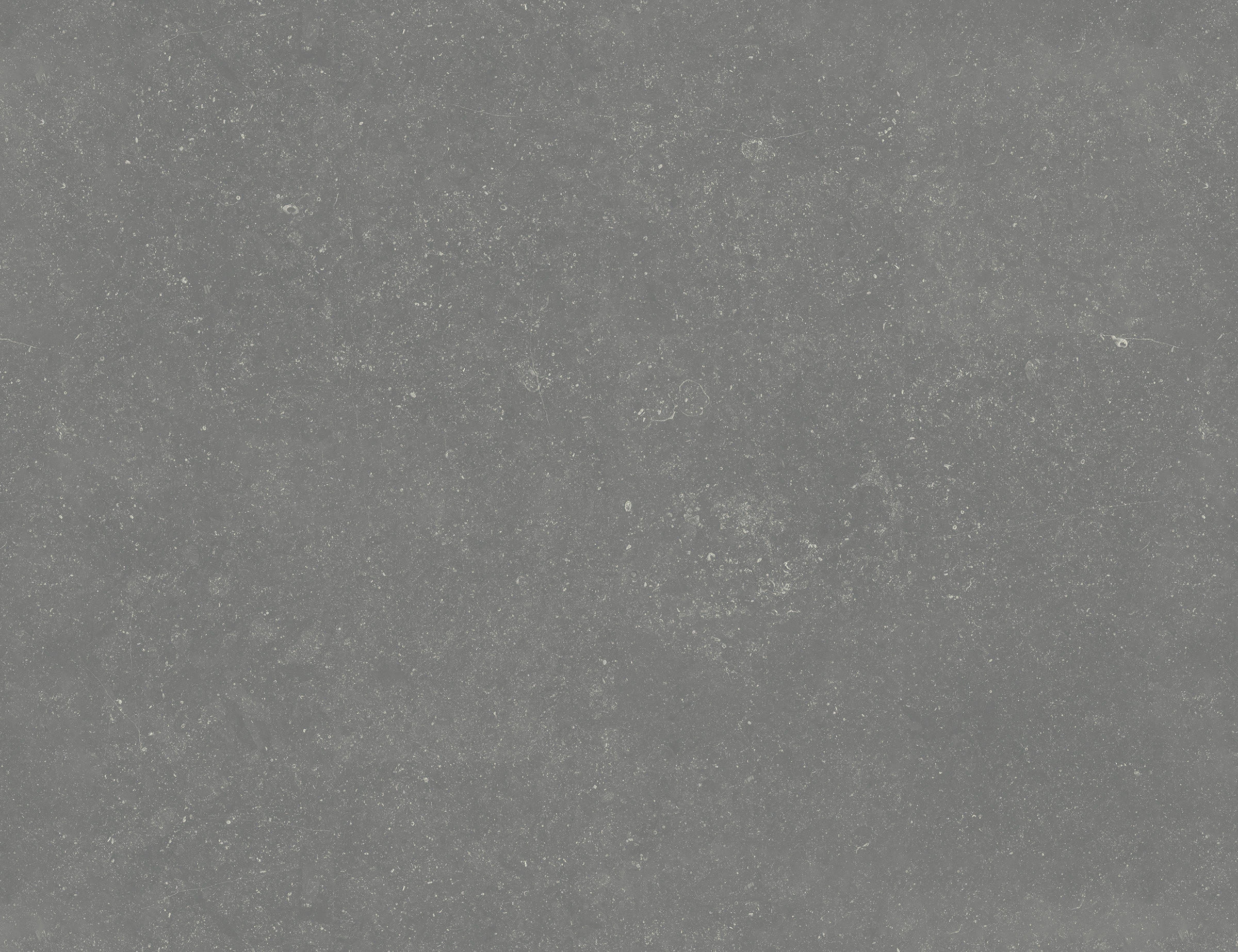 Vinylboden Quintex grau Beton B: ca. 500 cm pro m² Quintex - grau (500,00cm)
