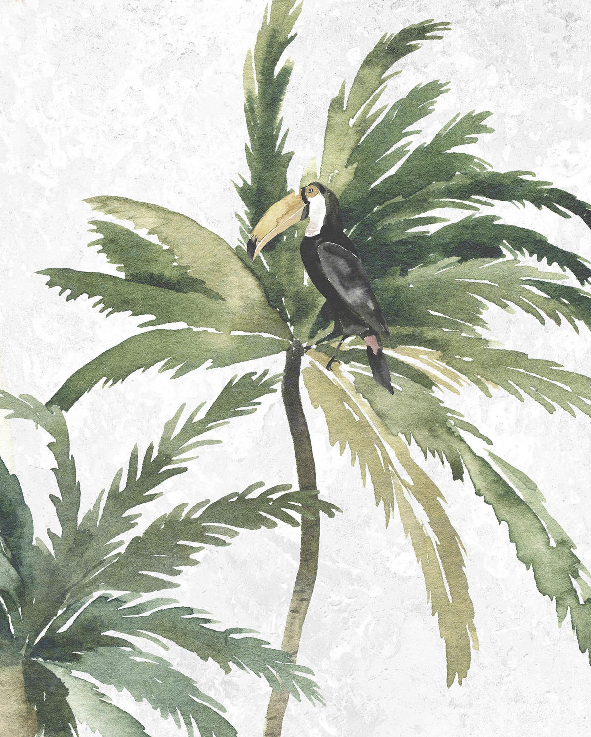 Komar Poster Tropical Toucan Tropical Toucan - Komar