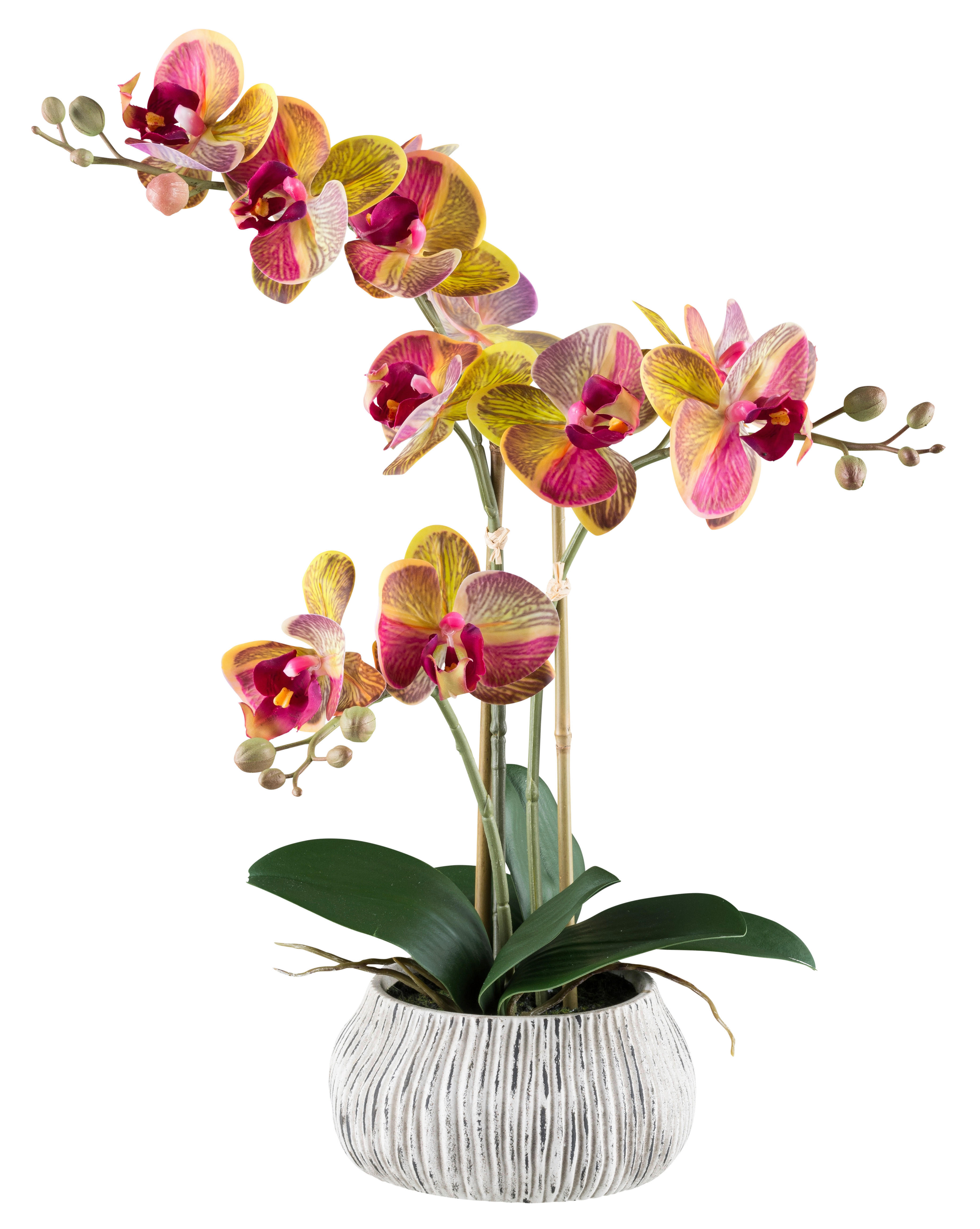 Kunstpflanze Phalaenopsis pink Kunststoff B/H/L: ca. 17x55x17 cm günstig online kaufen