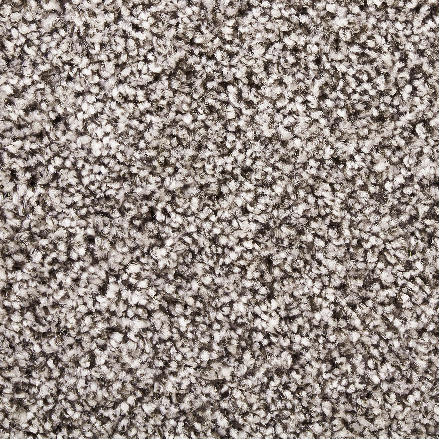 Teppichboden Broadway grau B: ca. 400 cm pro m² Broadway - grau (400,00cm)