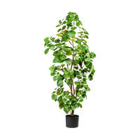 Kunstpflanze Eukalyptus grün Kunststoff B/H/L: ca. 20x120x20 cm Eukalyptus - grün (20,00/20,00/120,00cm)