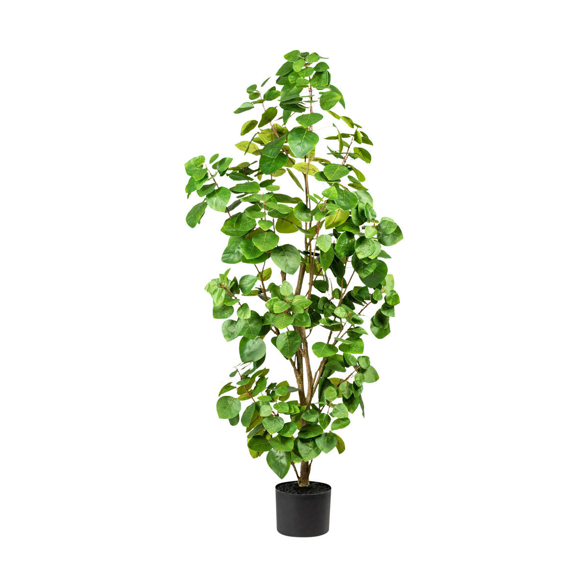 Kunstpflanze Eukalyptus grün Kunststoff B/H/L: ca. 20x120x20 cm Eukalyptus - grün (20,00/20,00/120,00cm)