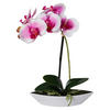 Orchidee weiß Kunststoff H: ca. 30 cm Orchidee - lila/weiß (30,00cm)