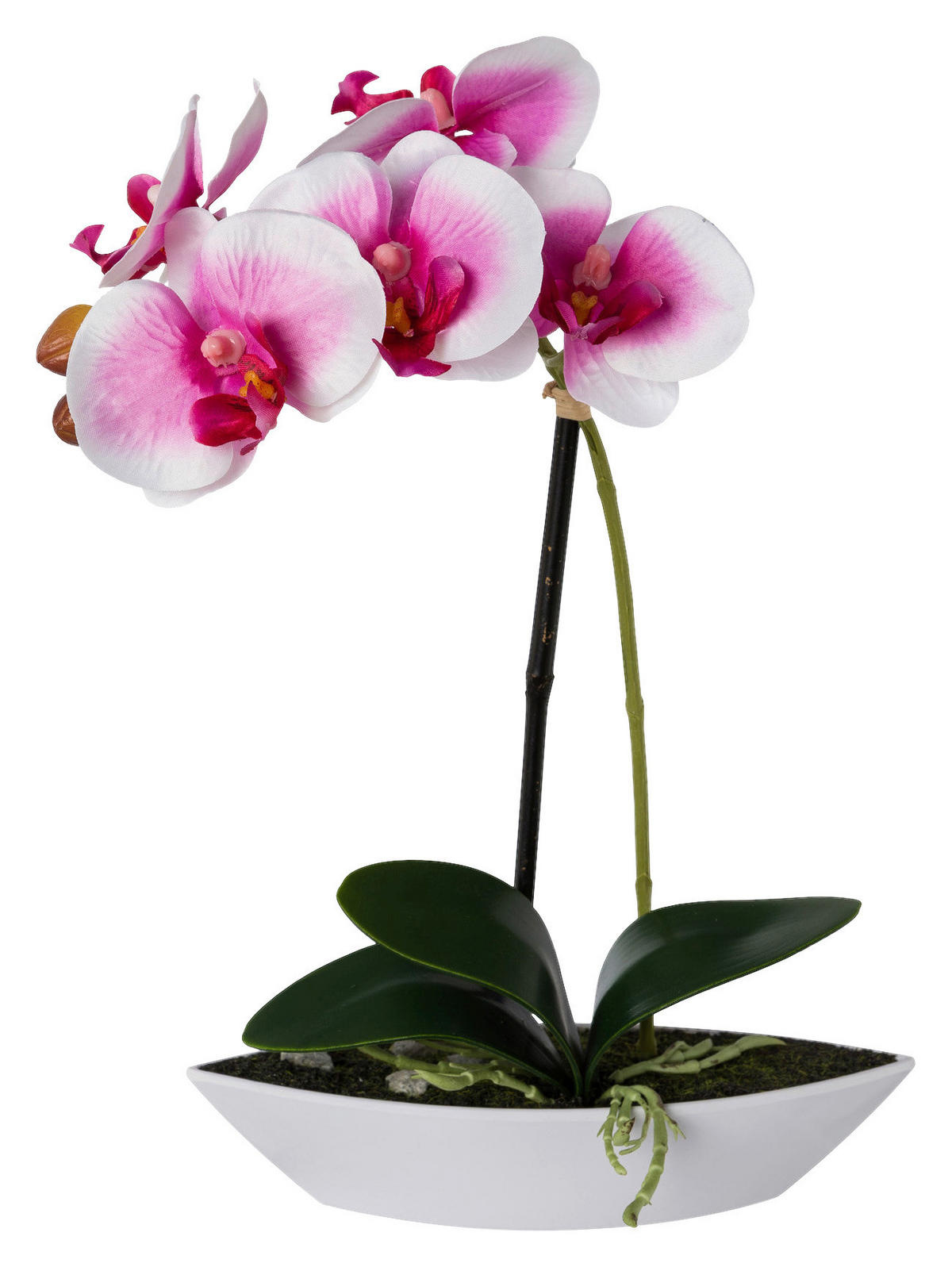 Orchidee weiß Kunststoff H: ca. 30 cm Orchidee - lila/weiß (30,00cm)