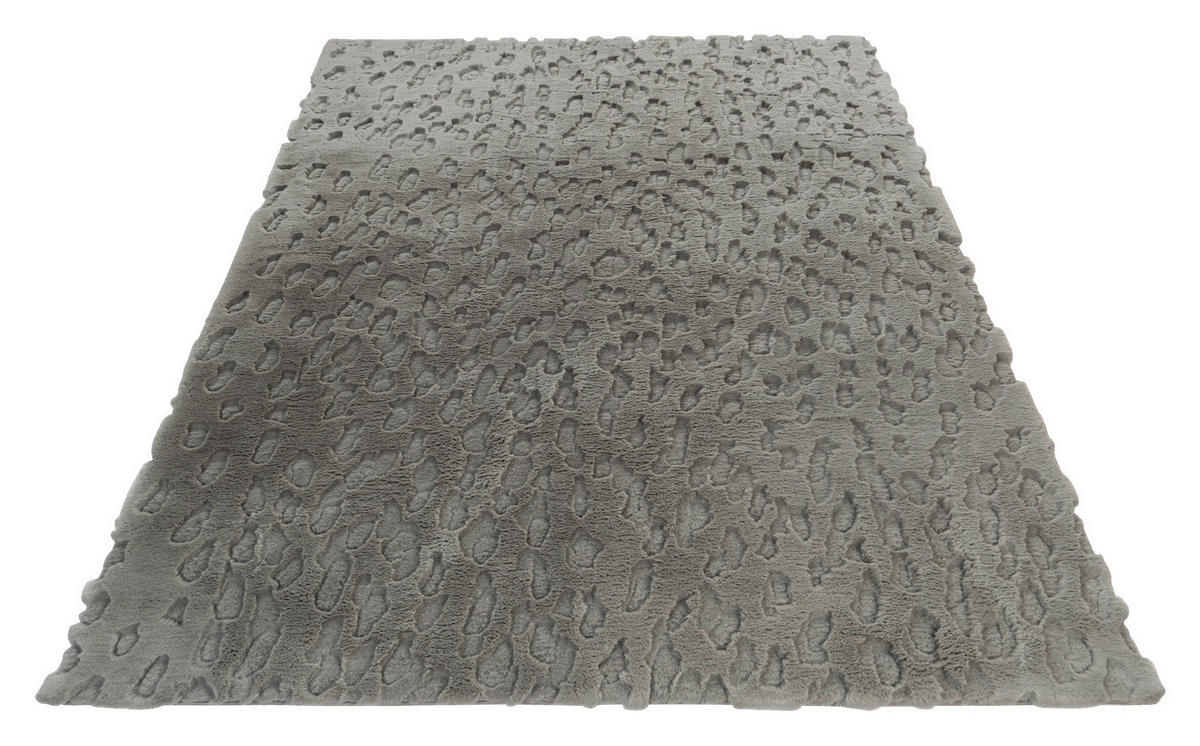 Obsession Teppich My Verdant Vally silber B/H/T/L/D: ca. 120x2,7x0x170x0 cm My Verdant Vally - silber (170,00/120,00/2,70cm) - Obsession