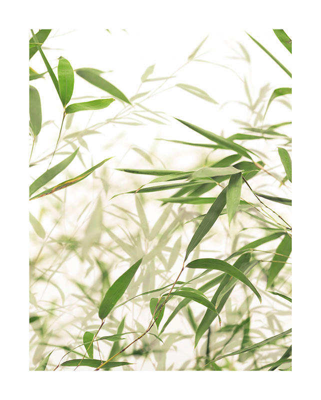 Komar Poster Bamboo Leaves Pflanzen B/L: ca. 40x50 cm günstig online kaufen