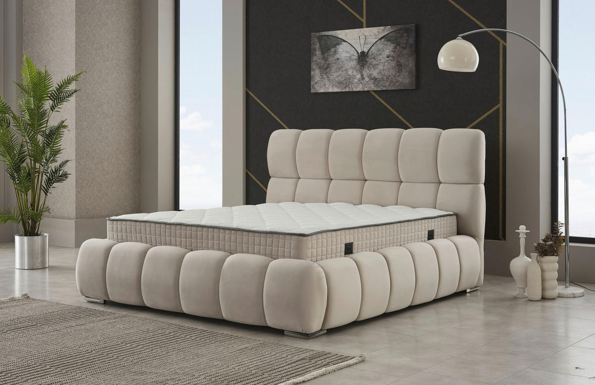 Polsterbett Prestige creme Prestige - beige/creme (214,00/126,00/235,00cm)