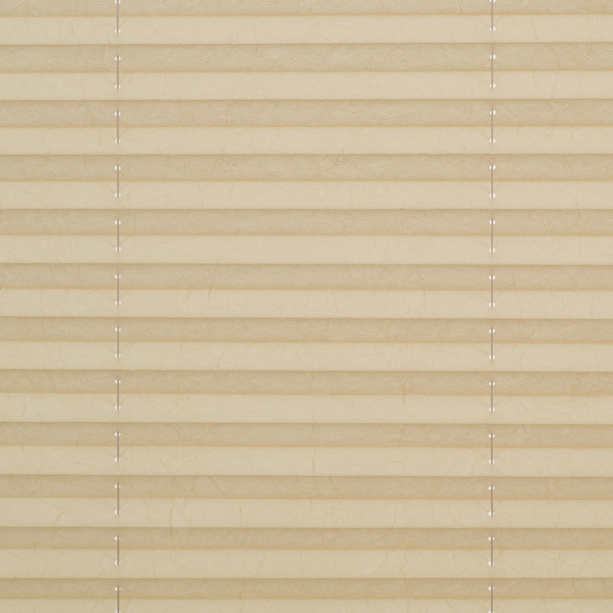 Spannplissee creme B/L: ca. 45x130 cm Plissee_Klemmfix - creme (45,00/130,00cm) - LICHTBLICK