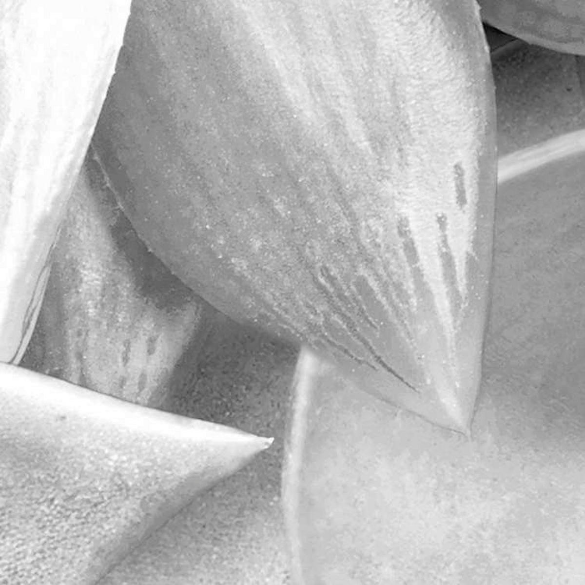 Komar Fototapete Shades Black and White B/L: ca. 400x250 cm Shades Black and White - (400,00/250,00cm) - Komar