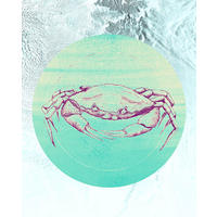 Komar Poster Crab Sea Tiere B/L: ca. 40x50 cm Crab Sea - (40,00/50,00cm) - Komar