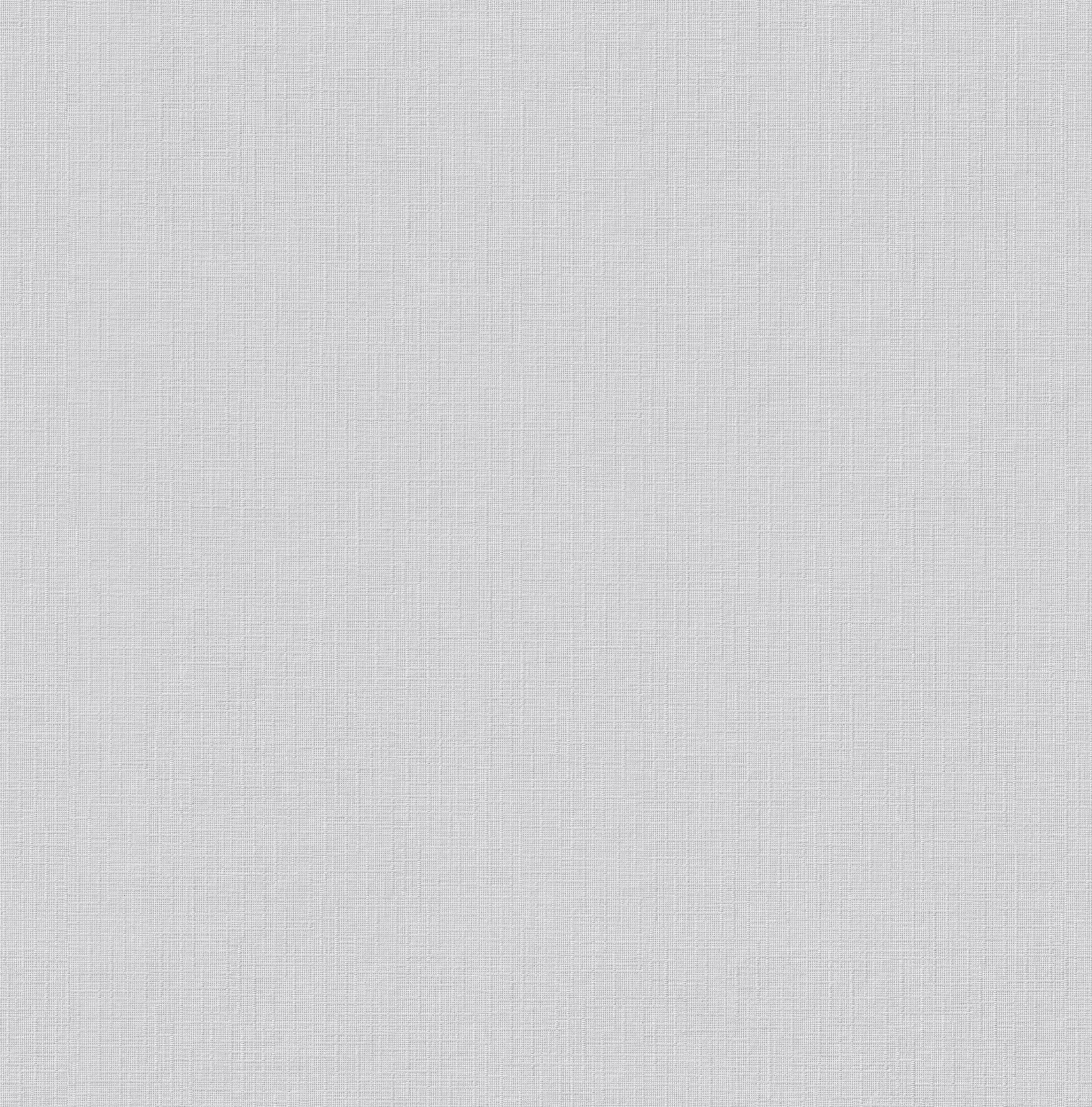 Erfurt Vliestapete Basic Basic weiß B/L: ca. 53x1005 cm Basic - weiß (53,00/1005,00cm) - Erfurt