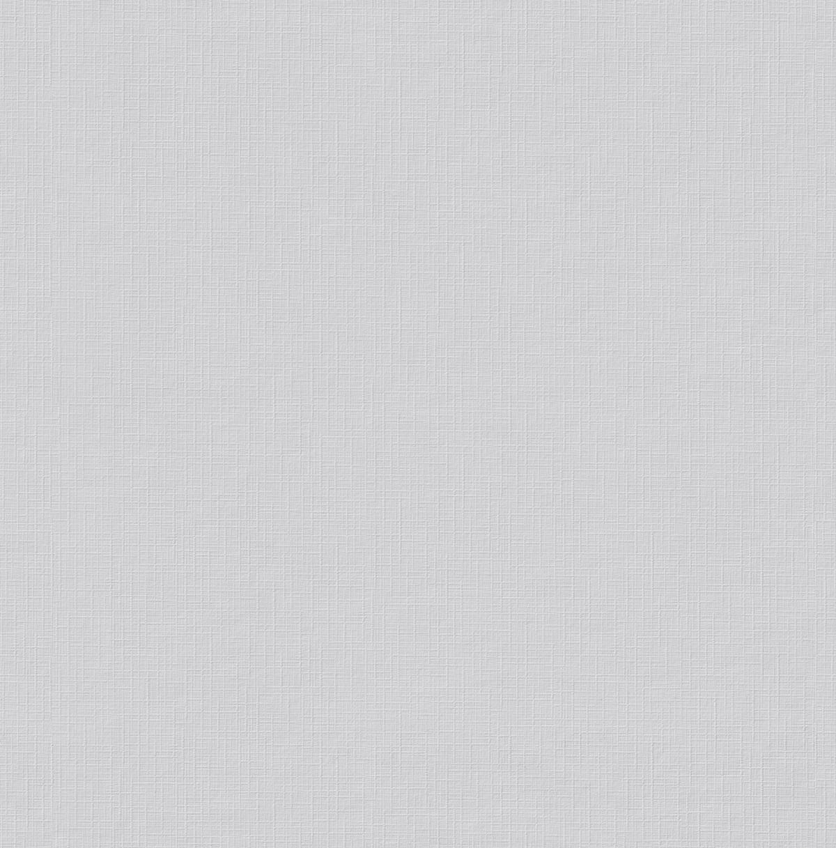 Erfurt Vliestapete Basic Basic weiß B/L: ca. 53x1005 cm Basic - weiß (53,00/1005,00cm) - Erfurt