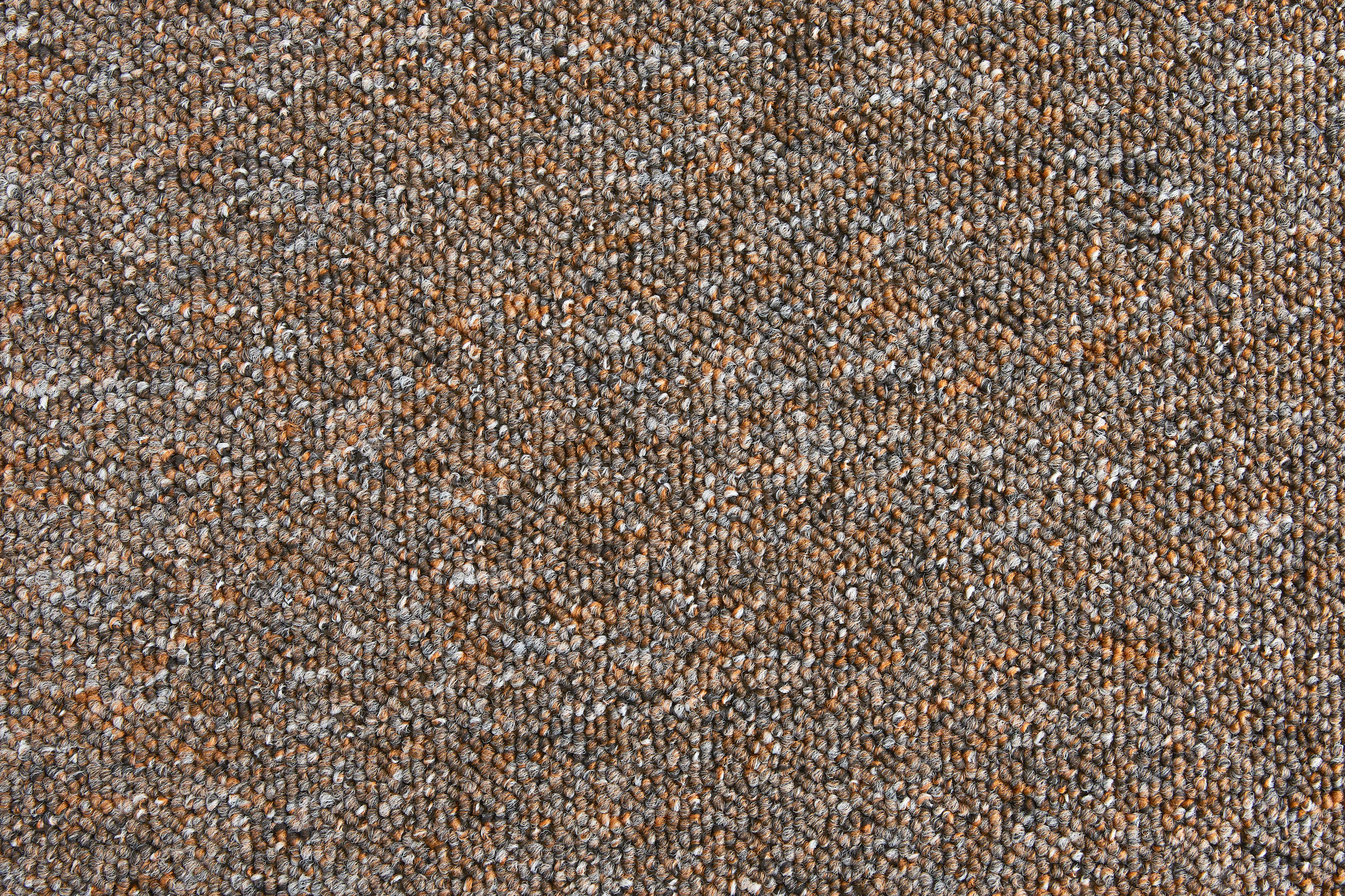 Teppichboden Rico mokka B/L: ca. 200x500 cm pro Stück Rico - mokka (200,00/500,00cm)