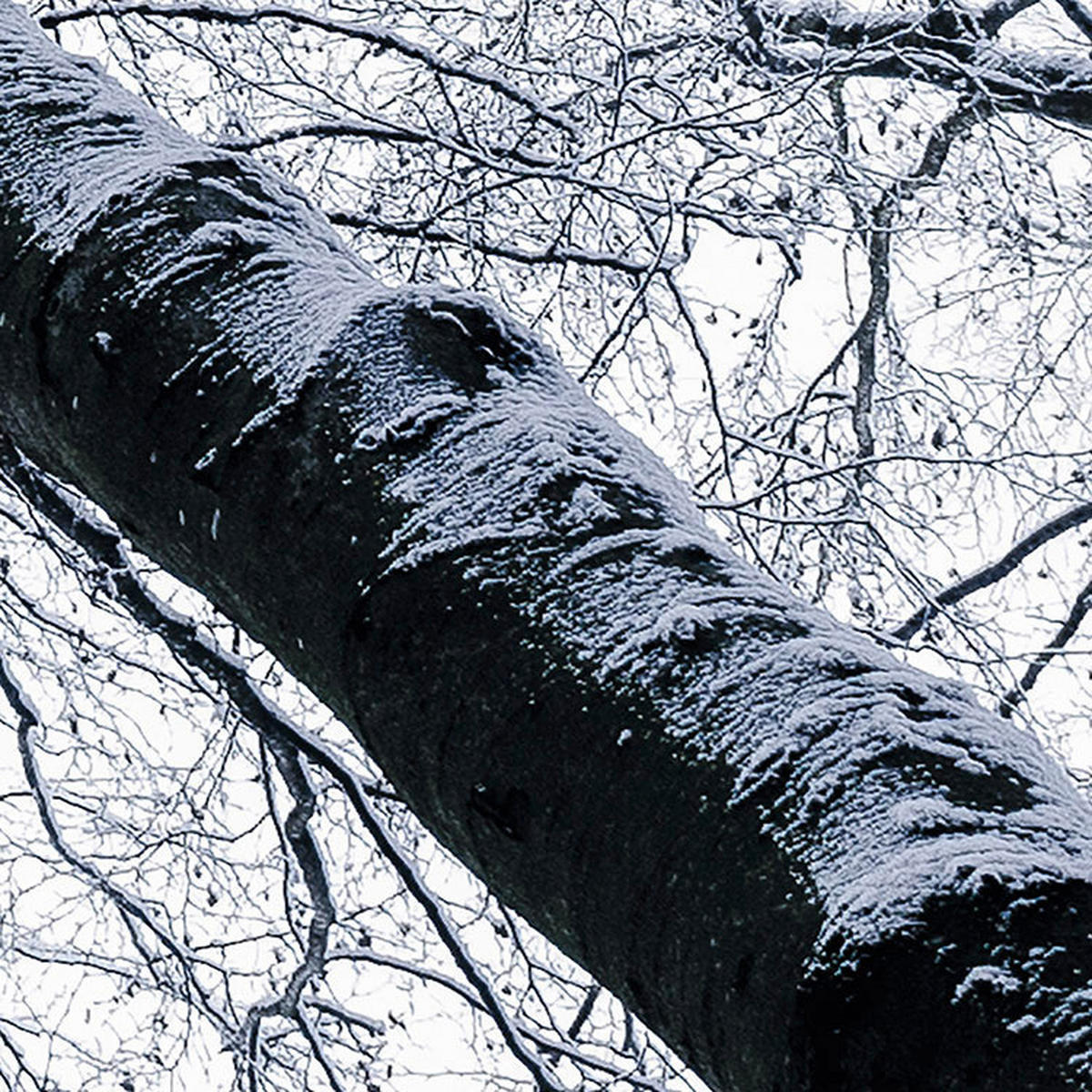 Komar Fototapete Up B/L: ca. 400x250 cm Up - (400,00/250,00cm) - Komar