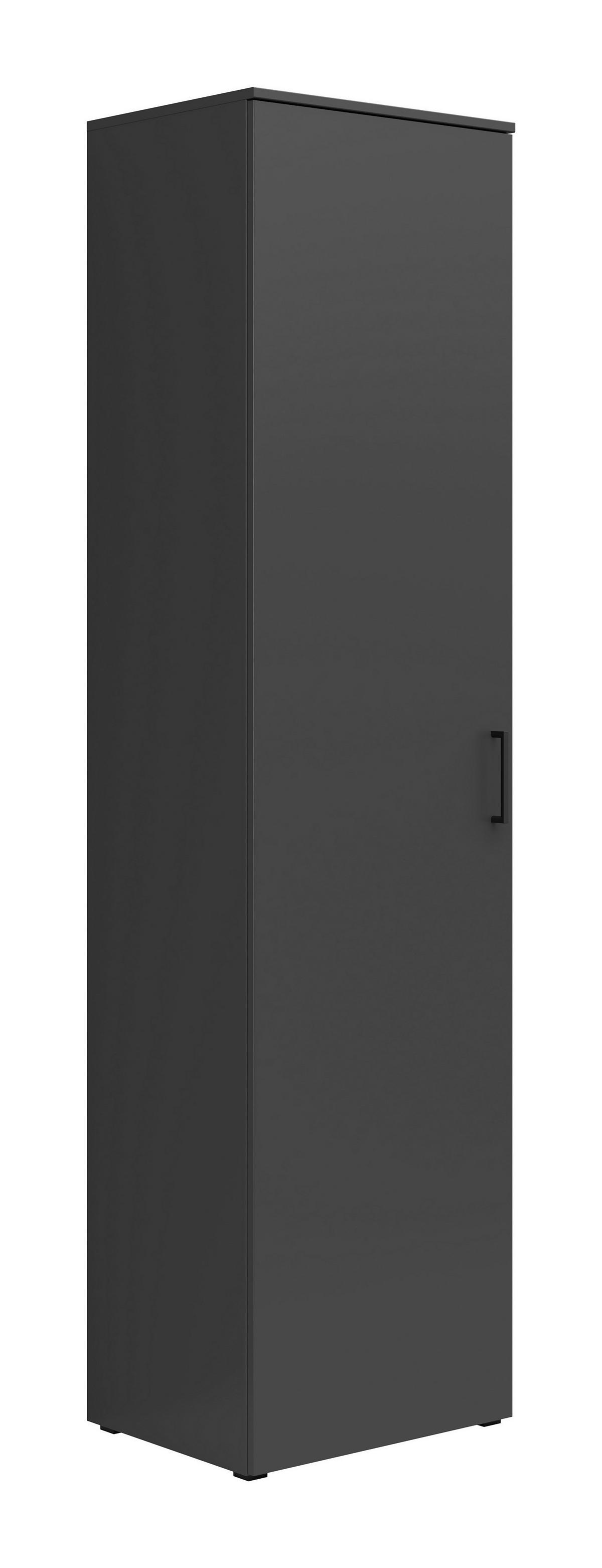 Schrank Multi-Stauraum Typ 51 anthrazit B/H/T: ca. 50x195x40 cm Multi-Stauraum Typ 51 - anthrazit (50,00/195,00/40,00cm)