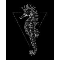 Komar Poster Sea Horse Black Tiere B/L: ca. 40x50 cm Sea Horse Black - (40,00/50,00cm) - Komar