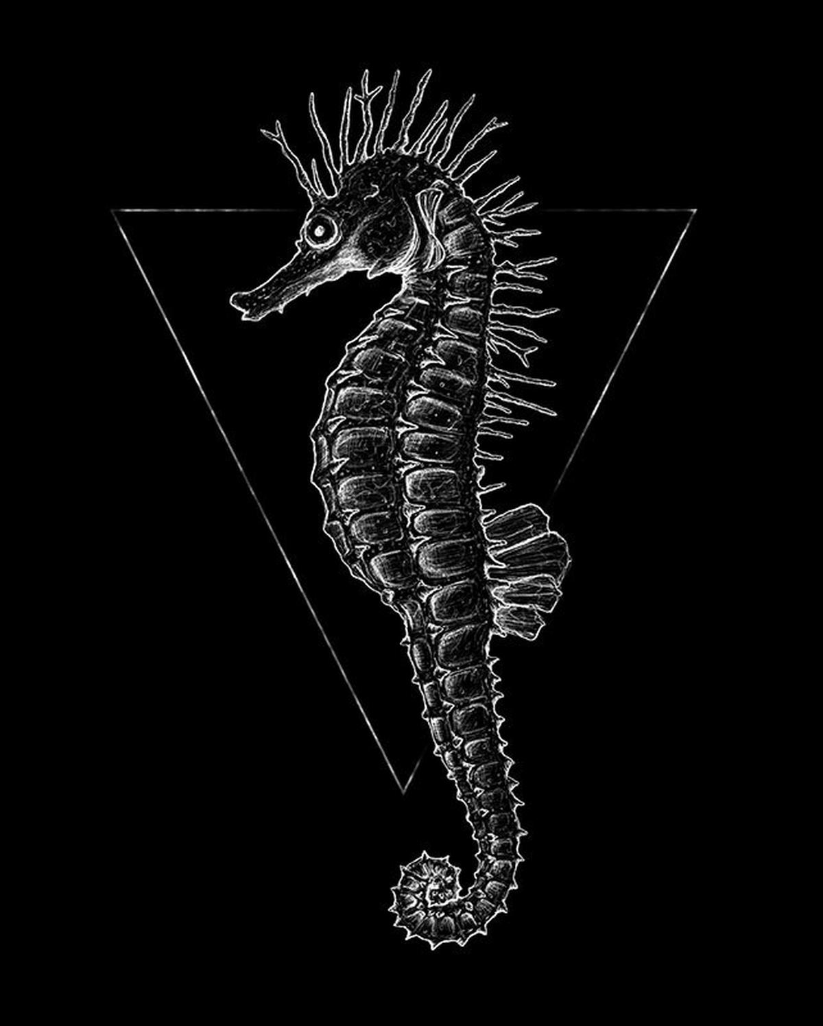 Komar Poster Sea Horse Black Tiere B/L: ca. 40x50 cm Sea Horse Black - (40,00/50,00cm) - Komar