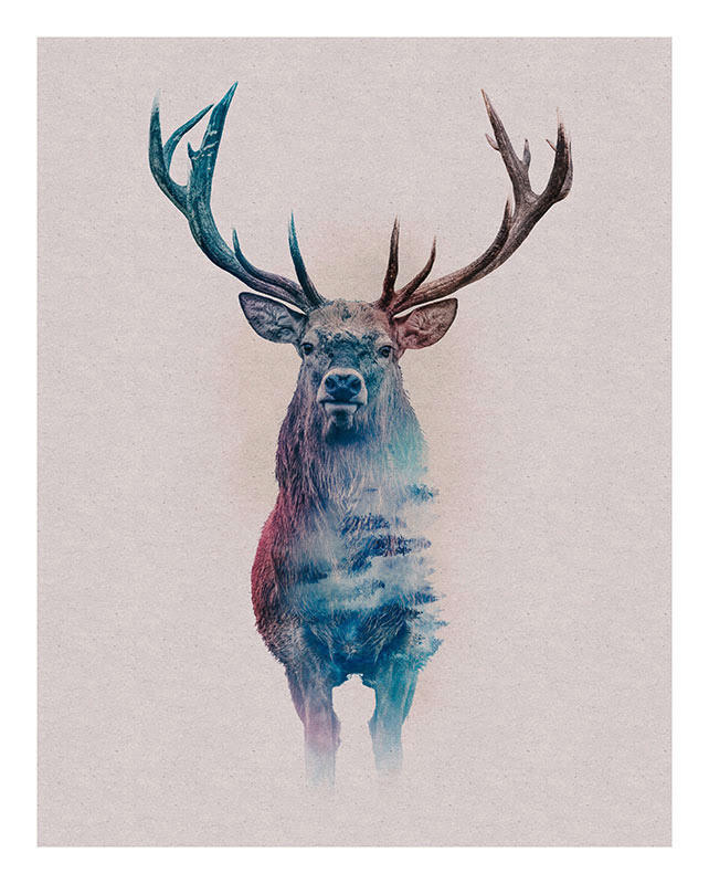 Komar Poster Animals Forest Deer Hirschkopf B/L: ca. 40x50 cm günstig online kaufen