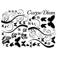 Dekosticker Spruch schwarz B/L: ca. 50x70 cm 2 tlg. Dekosticker Carpe Diem - schwarz (50,00/70,00cm)
