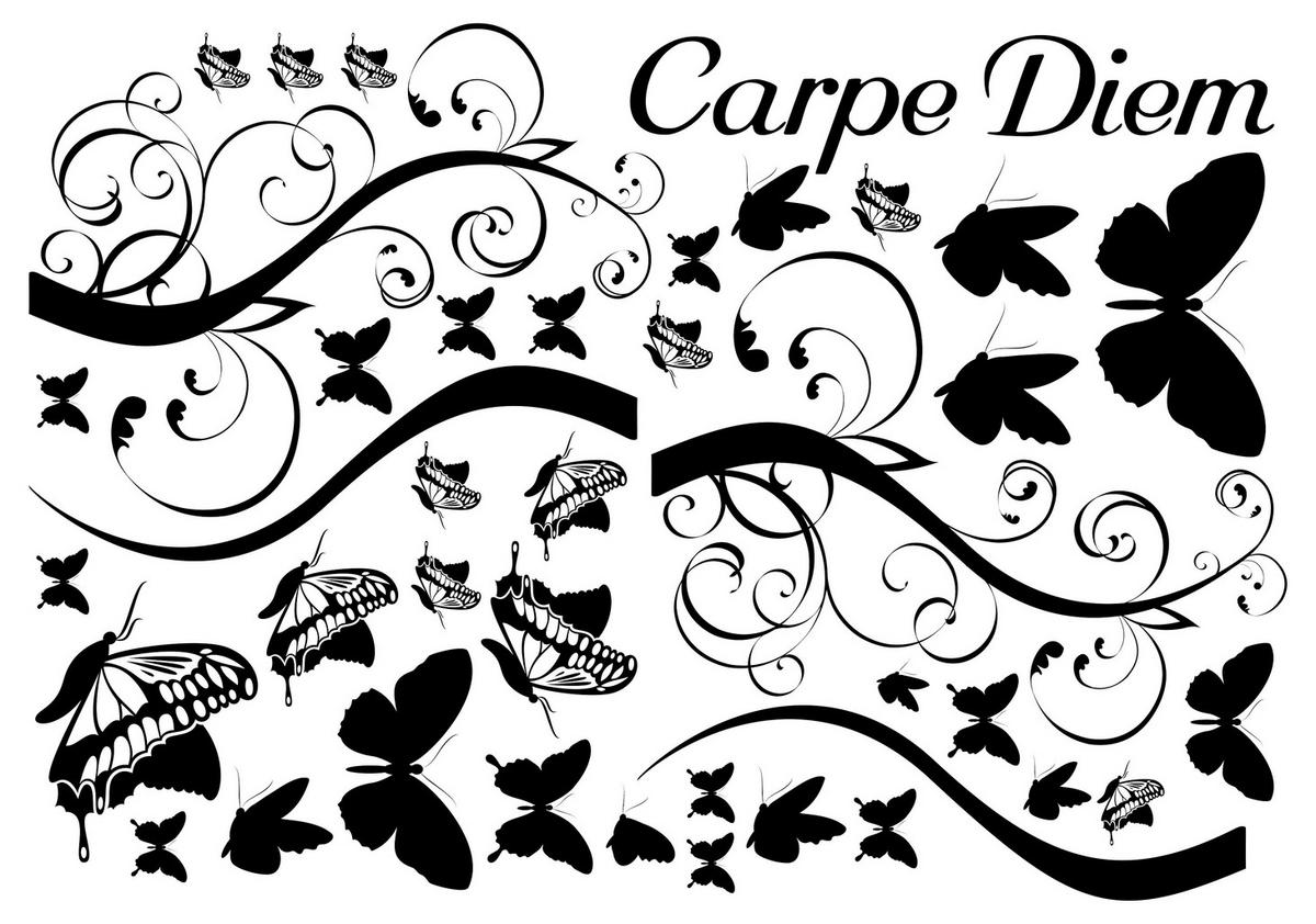 Dekosticker Spruch schwarz B/L: ca. 50x70 cm 2 tlg. Dekosticker Carpe Diem - schwarz (50,00/70,00cm)