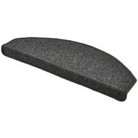 Stufenmatte Astra anthrazit B/L: ca. 28x65 cm Astra - anthrazit (28,00/65,00cm)