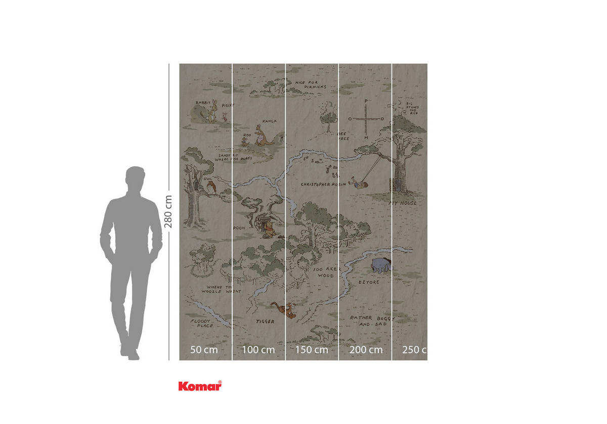 Komar Fototapete Winnie the Pooh Map IADX4-042 B/H: ca. 200x240 cm Winnie the Pooh Map IADX4-042 - (200,00/240,00cm) - Komar