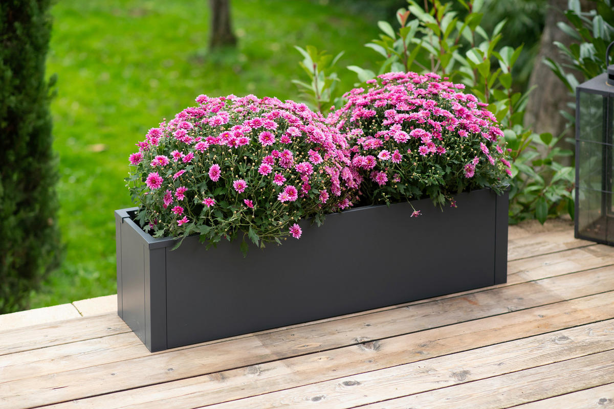 Westmann Pflanzkasten Talus anthrazit Metall B/H/L: ca. 100x27x25 cm Talus - anthrazit (25,00/100,00/27,00cm) - Westmann