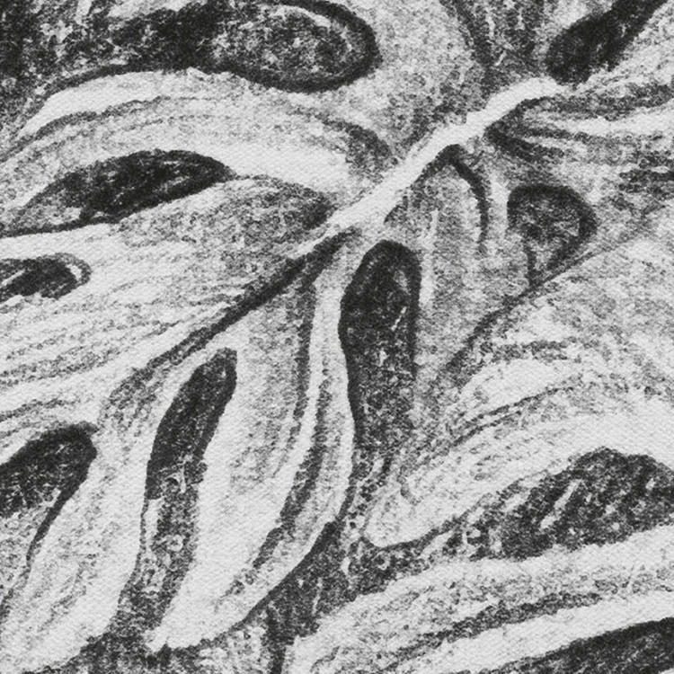 Komar Fototapete Léopards B/L: ca. 350x250 cm Léopards - (350,00/250,00cm) - Komar