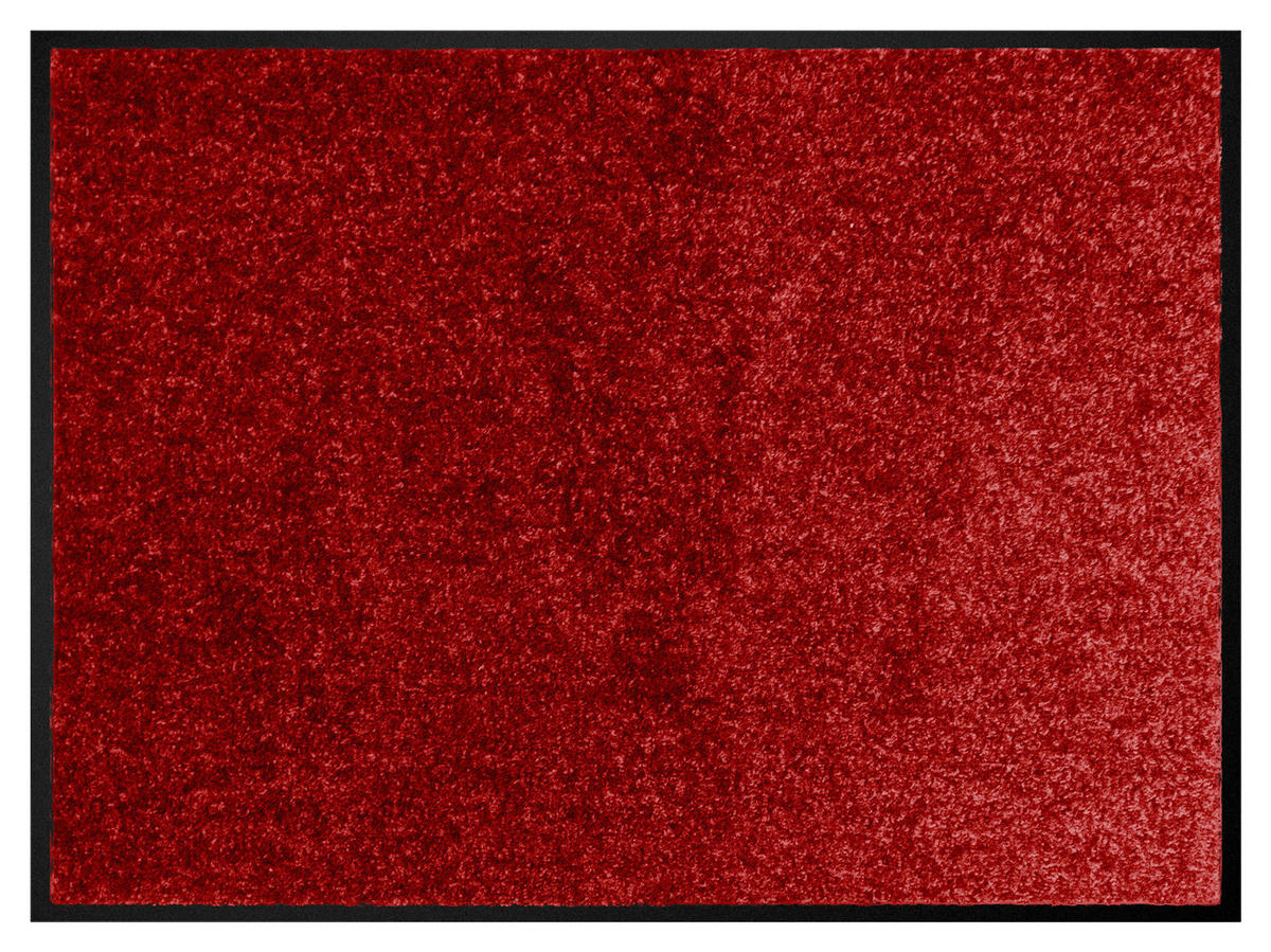 Schmutzfangmatte Alpha rot B/L: ca. 80x120 cm Alpha - rot (80,00/120,00cm)