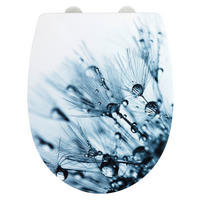 WC-Sitz blau weiß Thermoplast WC-Sitz_Sereno Thermoplast - blau/weiß - Wenko