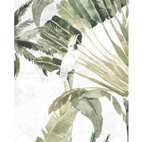 Komar Poster Oiseau Cacadoo Oiseau Cacadoo - Komar