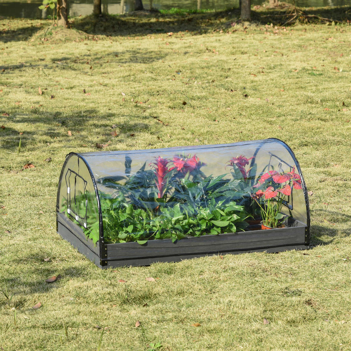 Outsunny Gewächshaus B/H/L: ca. 79x53x120 cm Gewächshaus - transparent (120,00/79,00/53,00cm) - Outsunny