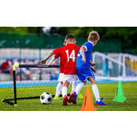 Dunlop faltbares Fußballtor schwarz B/H/T: ca. 90x59x61 cm Fußballtor_faltbar - gelb/schwarz (90,00/59,00/61,00cm) - Dunlop