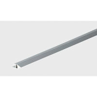 Ausgleichsprofil silber B/L: ca. 3x90 cm pro Stück Ausgleichsprofil 30x900 silber - silber (3,00/90,00cm)