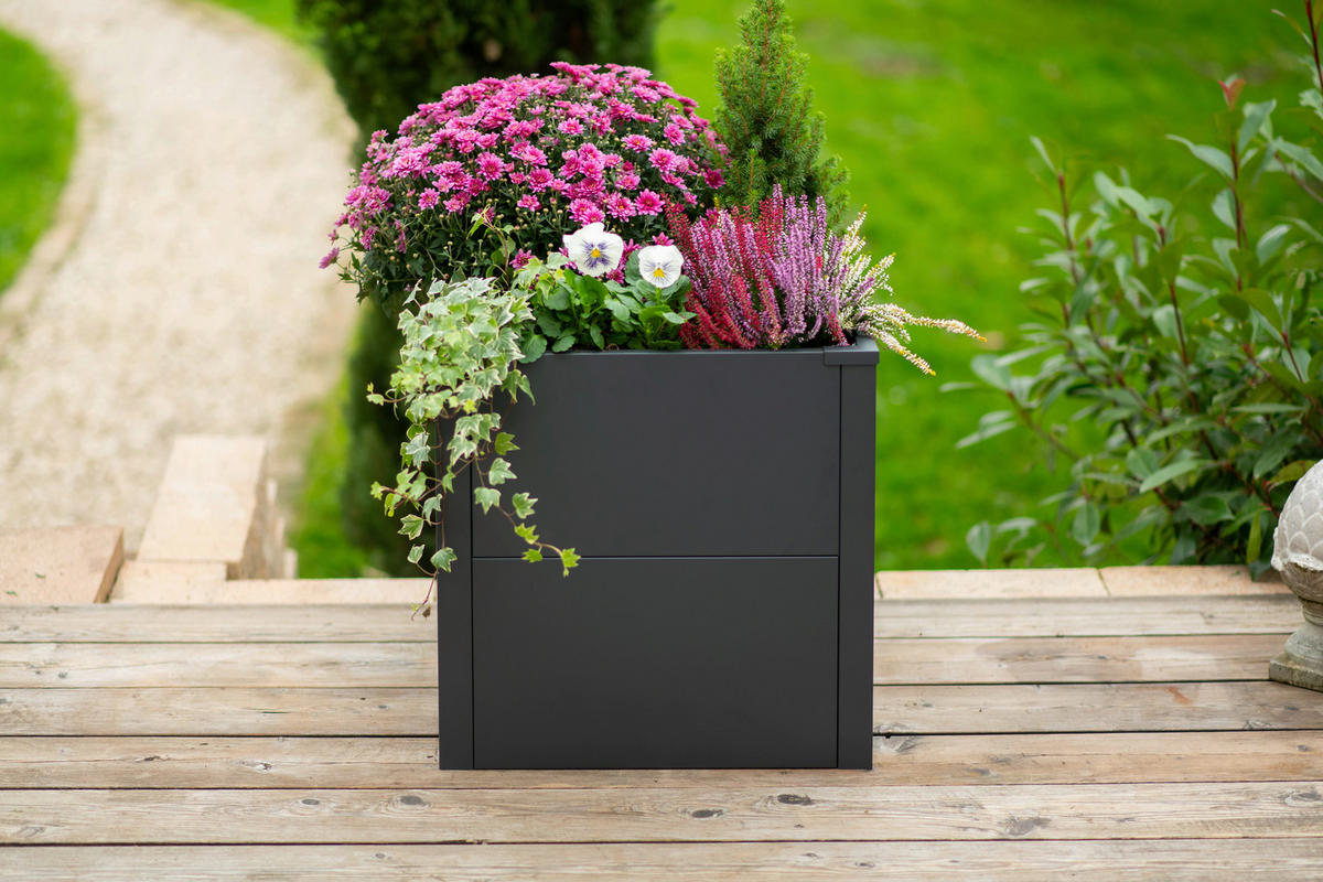 Westmann Pflanzkasten Talus anthrazit Metall B/H/L: ca. 50x50x50 cm Talus - anthrazit (50,00/50,00/50,00cm) - Westmann