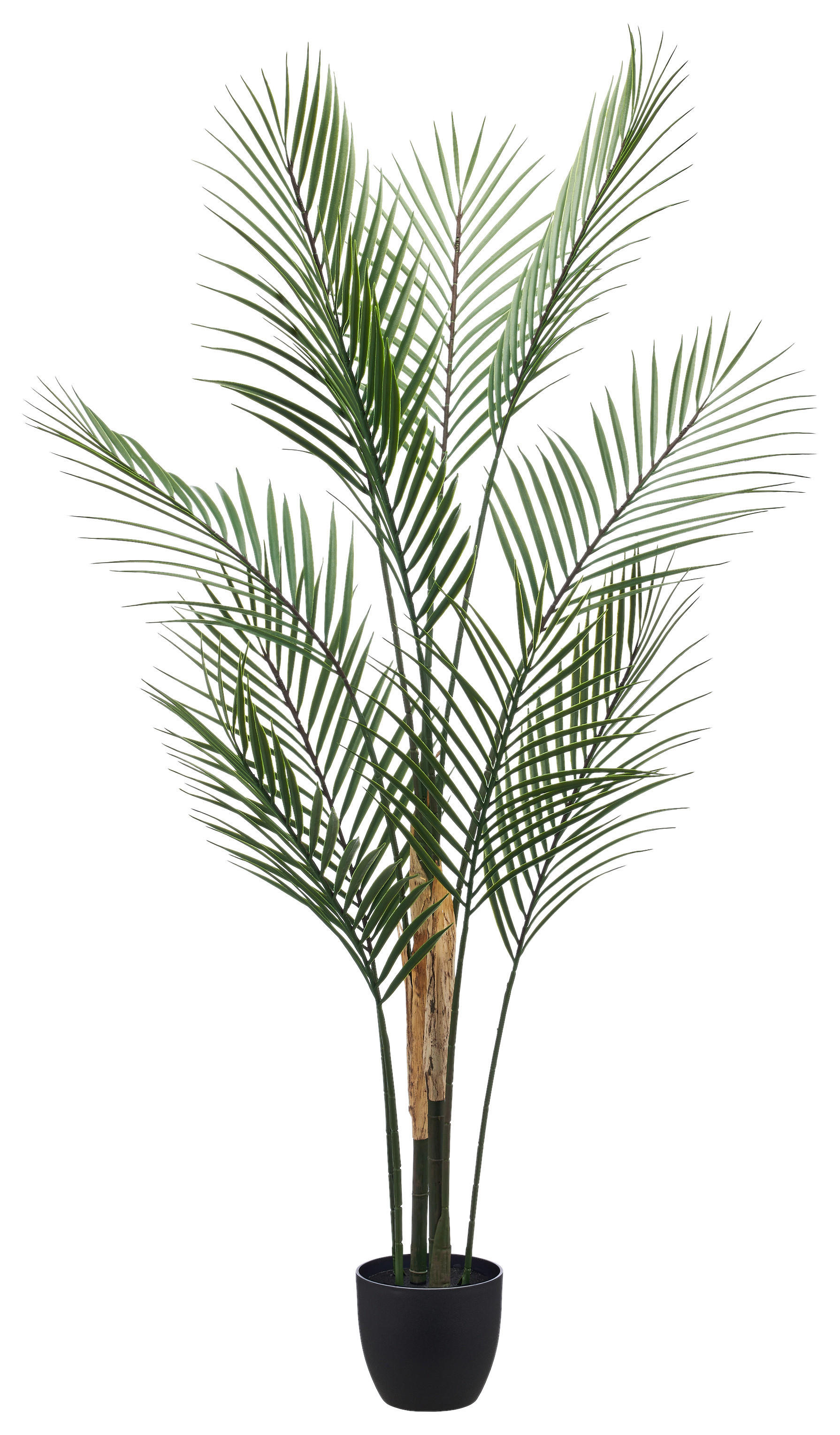 Kunstpflanze grün Kunststoff H: ca. 110 cm Phönixpalme - grün (110,00cm)