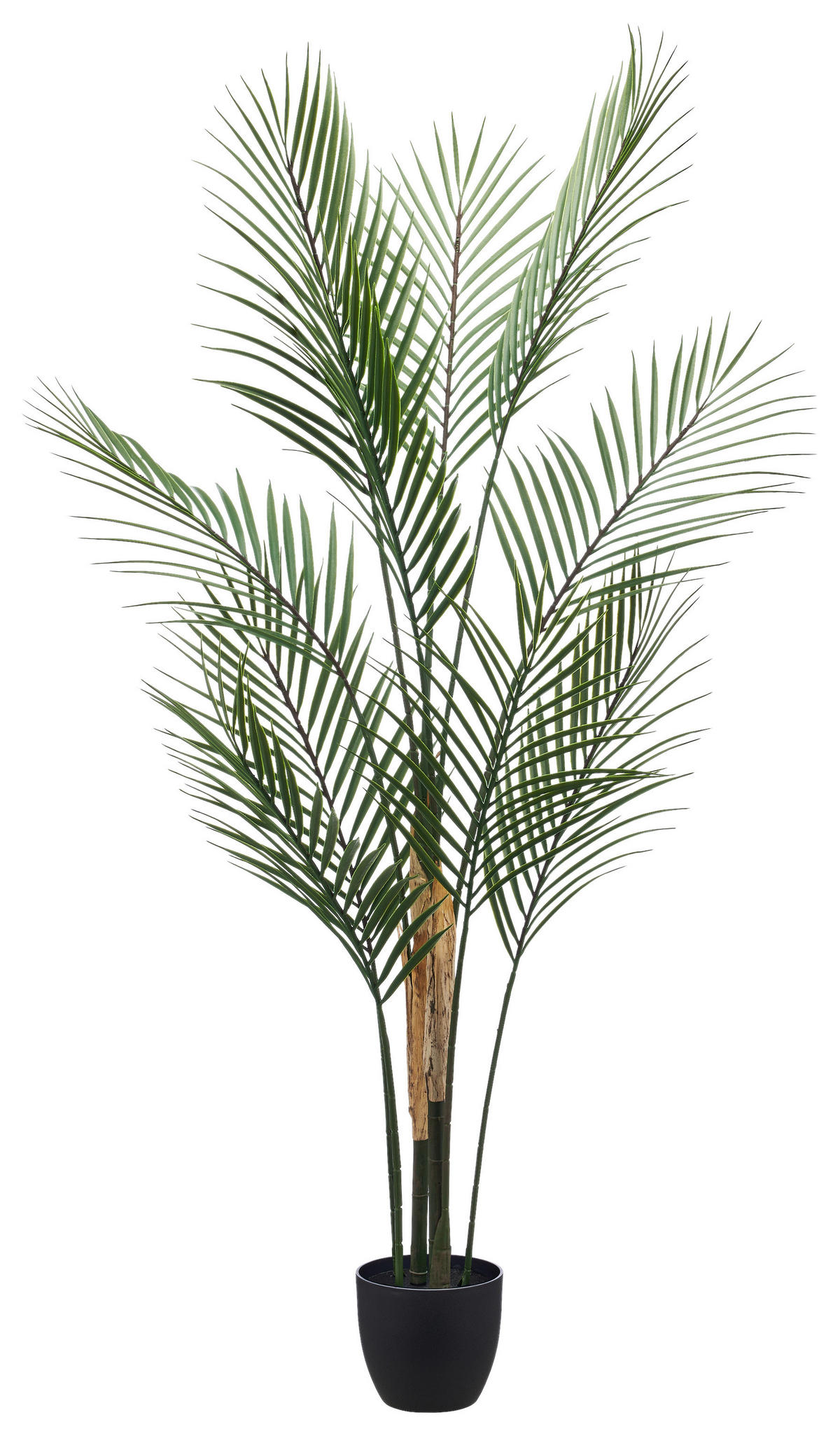 Kunstpflanze grün Kunststoff H: ca. 110 cm Phönixpalme - grün (110,00cm)