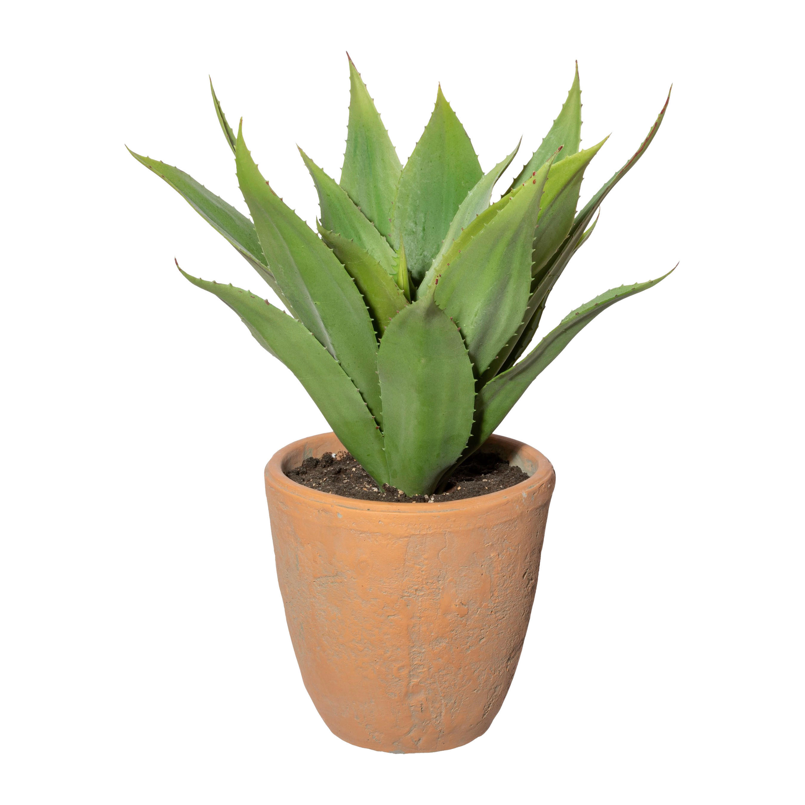 Kunstpflanze Agave grün Kunststoff B/H/L: ca. 20x40x20 cm Agave - grün (20,00/20,00/40,00cm)